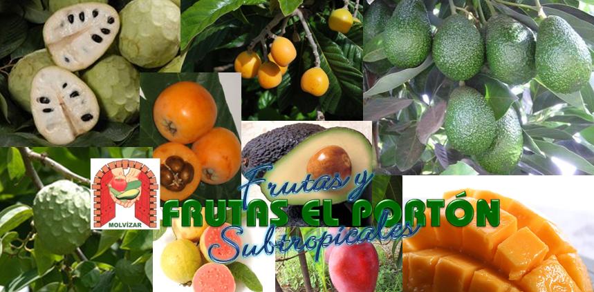 Frutas y hortalizas